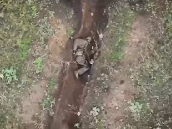 ���������� ���������� � ������ ����������� ��������, ������������ ������� � ������� ���