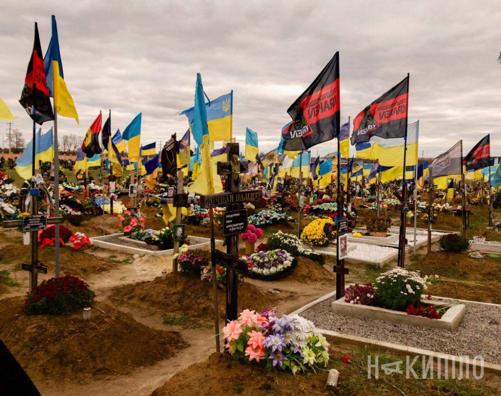 ��� ������� ������� ����� ������ ����������� ������� �� �������