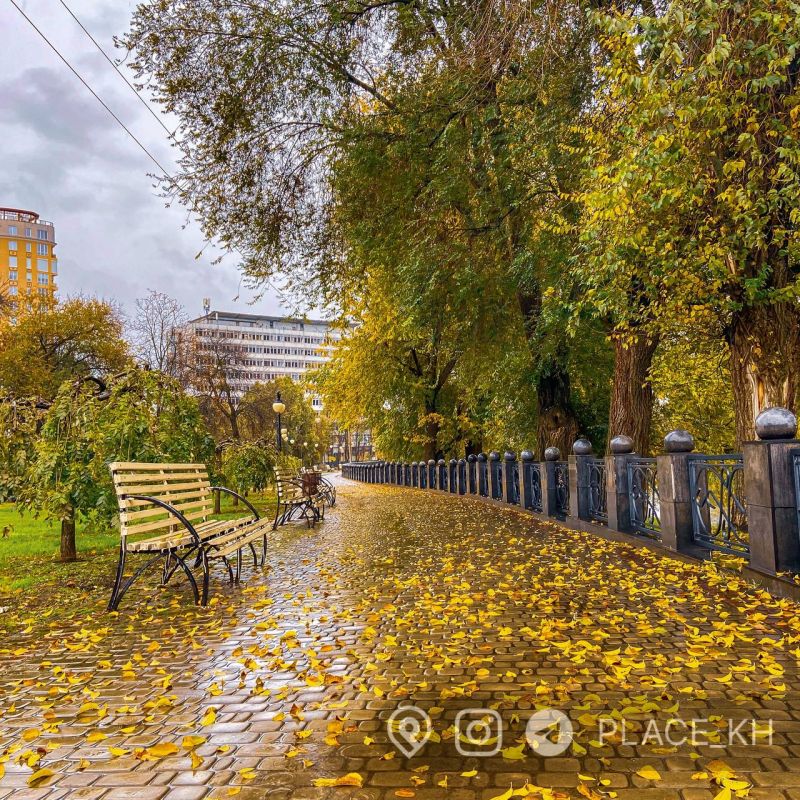 ����������:. ������ ������������ ������