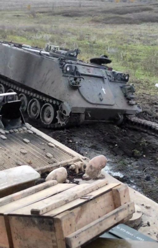 ��������� ������������ ���������������� �113 ��� ���-�� � ����������� �������