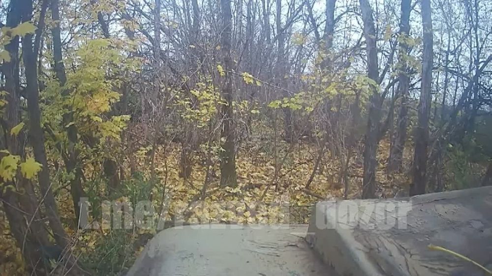 ������ ���������� ������� "������" �� �������� ��� � ����������� �������