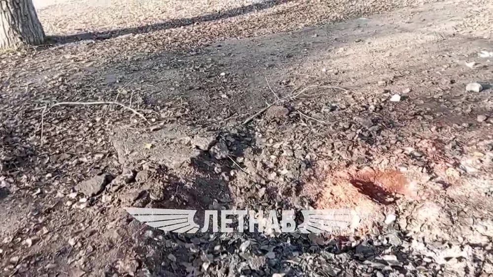 �.�����������. ��� ���������� �������� ����� �� ����������� ��������. �� ���� ��� ��� �������� ���������