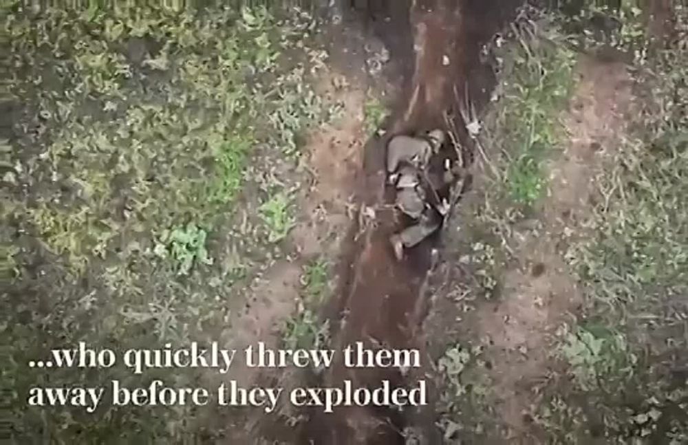 ���������� ������ ������ �������� �� ���� �������, ���������� �� ���� � ����� ���