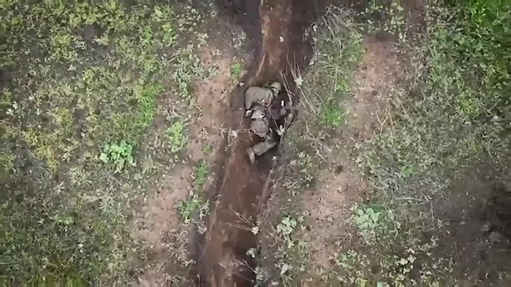 �� ���� �������� ��� ��������: ��� ���� ���������� ������ ���� �������� �� ������ ����������� �����