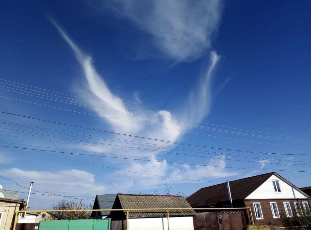 ������� ��������:. �������� ���������������� ������������ � ����� ������ ������ �� �������. �� �������� �����. � ���������� ���������