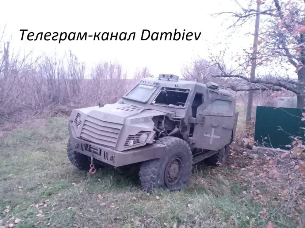 ������������ �� ����������� ����������� ������������� ������ MLS SHIELD (4x4) ������������ ����������� ��������...