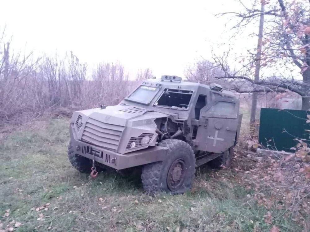 ����������� �������, ������������ ��������������� TEKNE MLS Shield ���, ����������� �������� ����� � ������