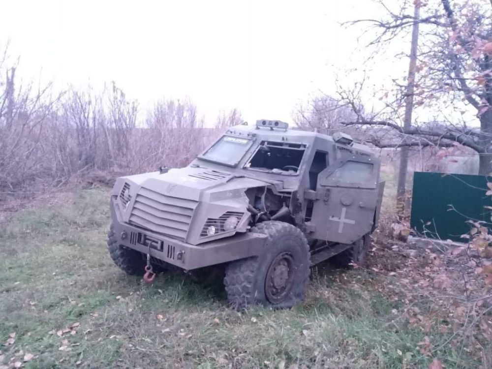 ������������ ����������� ��������������� MLS Shield ��� � ����������� �������, ��������� �����