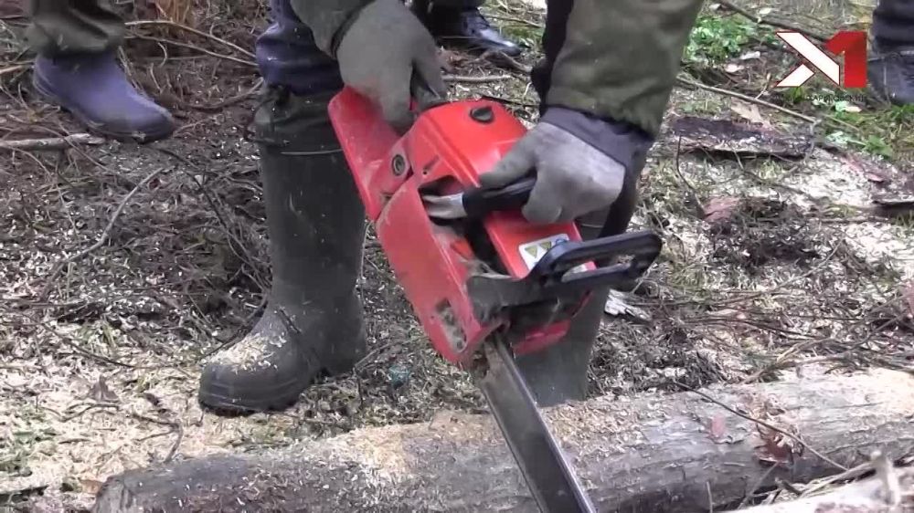 �������������� ������� ������������ �������� � ������������ �������, ��� ���������� ��� ����������� ������� � ����������� ���������� ���������� ��������� ��� ���� �����