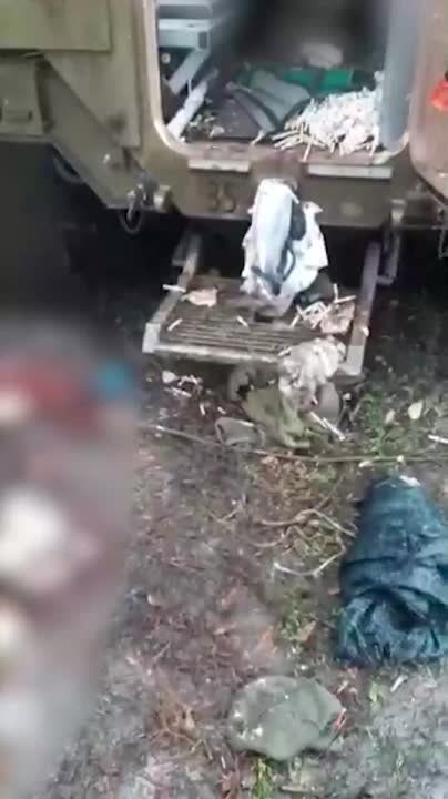 — Поляки?. — Поляки, да