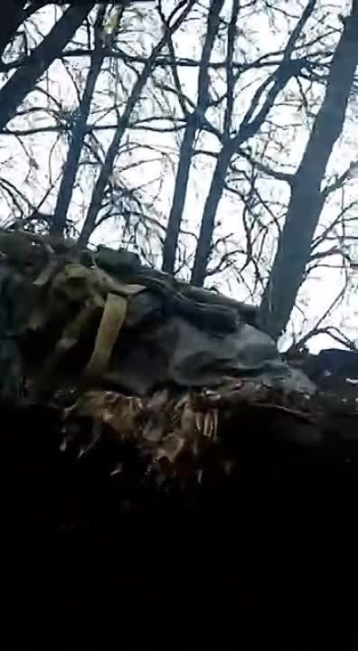 ���������� ����������� ������ ���� ��� ������ ���������