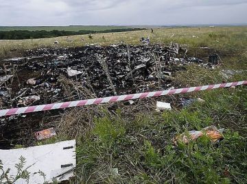   MH17    