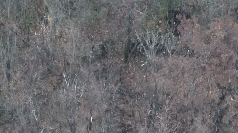 ����������� ���� �� ���������!