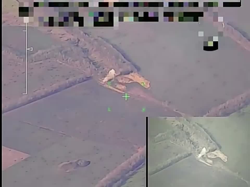 ����������� ����������� ����� ����� ���������� �� ������������� �����������