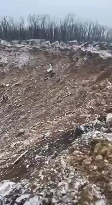 ������ ��������� � ����������� �������...��������� �� � ����������� ������� ���