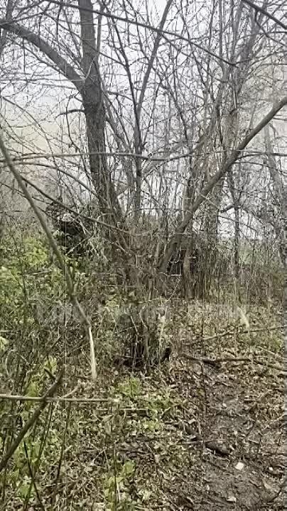 ��������� �����������. ������������ 1 �������� ����� ������� ����� �� ���� ���������� ����� ��� � ���������