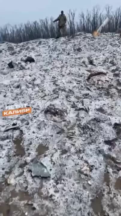 ��������� ������ �� �������� ��� ���������������� � ����������� �������