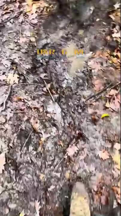 ��� ���������. ��� � �� ��� �����.. ��� "������������" �� 100���. , � �� �� ������ � �������!