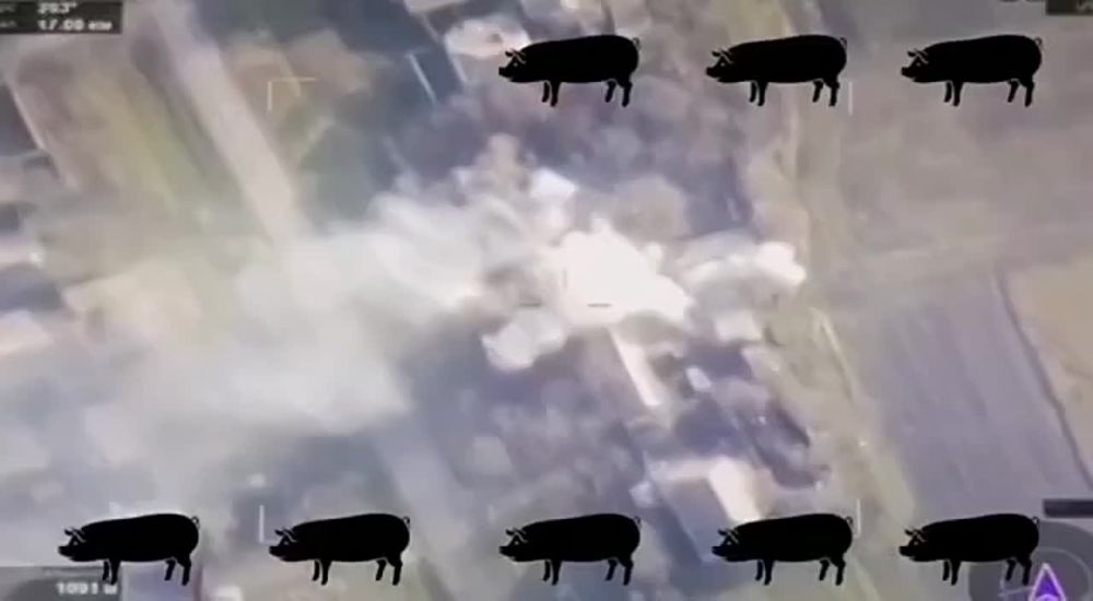 ����������� �������. ����������� ����� ���