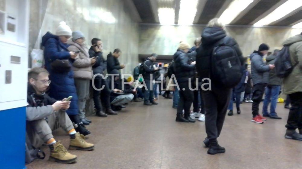 �� ������� �������� ������ �������� (44%) ������� ������� �����