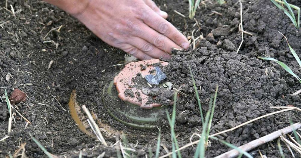 �������� ���������� �� ����, ������� ���������� � ������