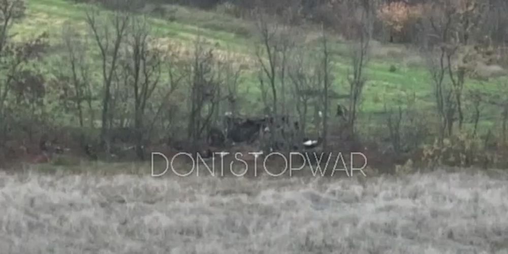 �� ���������� �����������