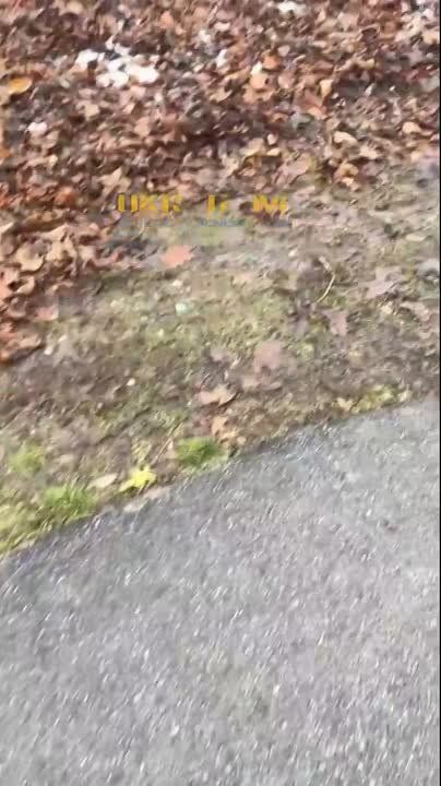 ���������� �� �������� ������ ������� �������� � ������ ��������� ����� ��� ������������������� ������-���������� ������� ������� (23.06.2001�.�.) �� ��������