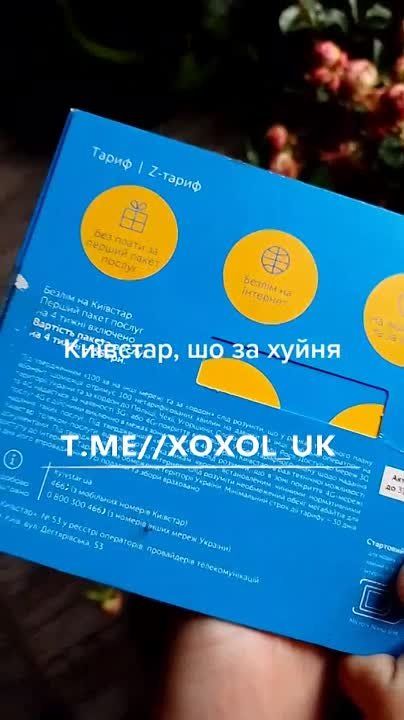 Z-����� = Z����. #��������������������