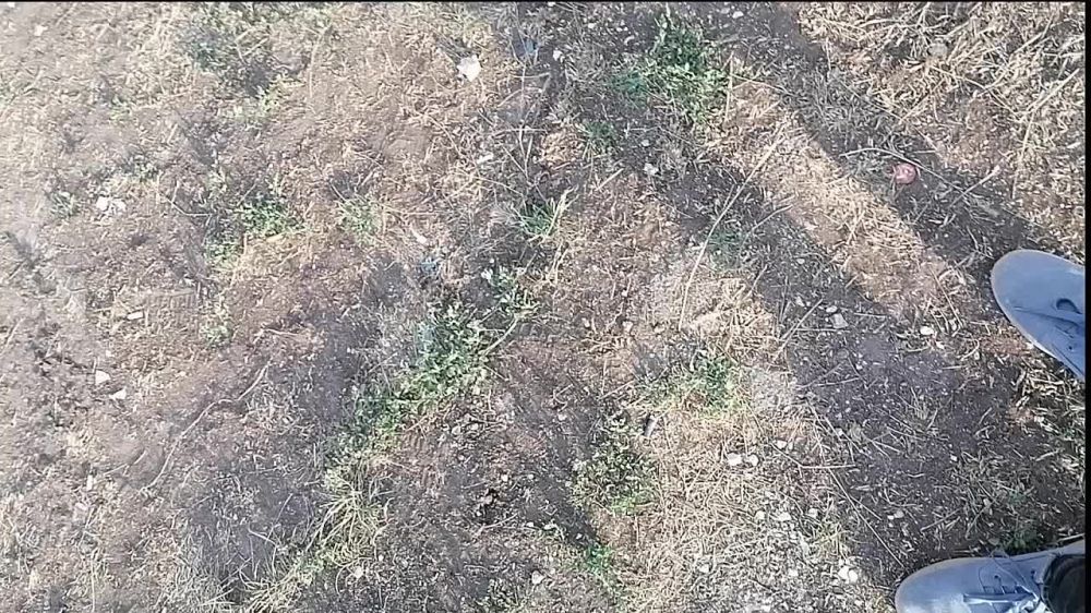 �� ������� � ���: ����. ���� ����� � ��������