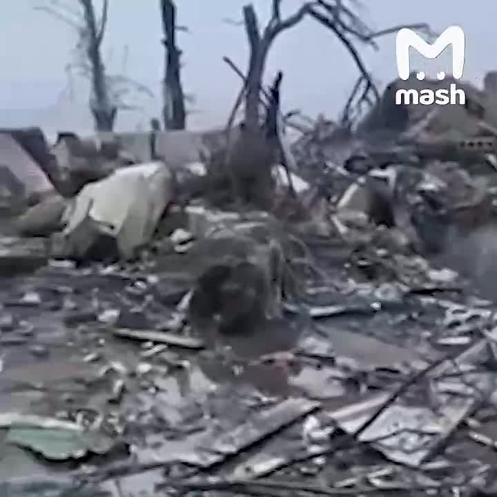 �� ����� � ��, ��� �������� �� ������ �������� �������� � ����������� ������� �������