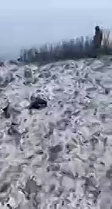 ����� �����: ����������� �������� ������ �� �� � ����������� �������