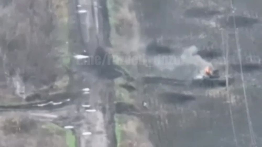 ��������� 1-� �������� ����� �������� ������ ����� 14 ������� ��� �� ��������� �����������