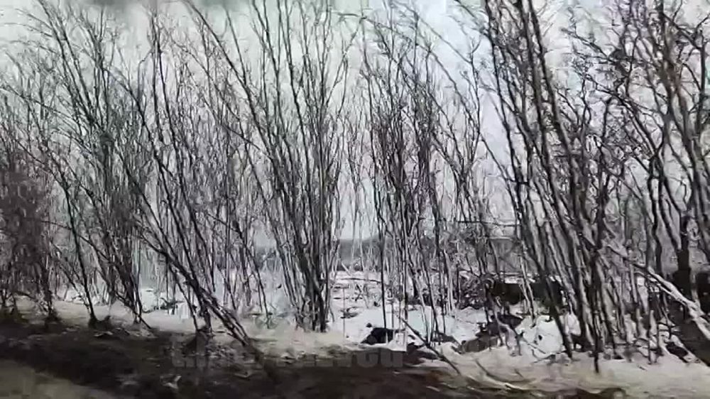 �� ��������� �����������