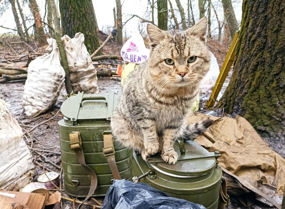 ����� � ��� ���, �� ���� ������������� ��� �����