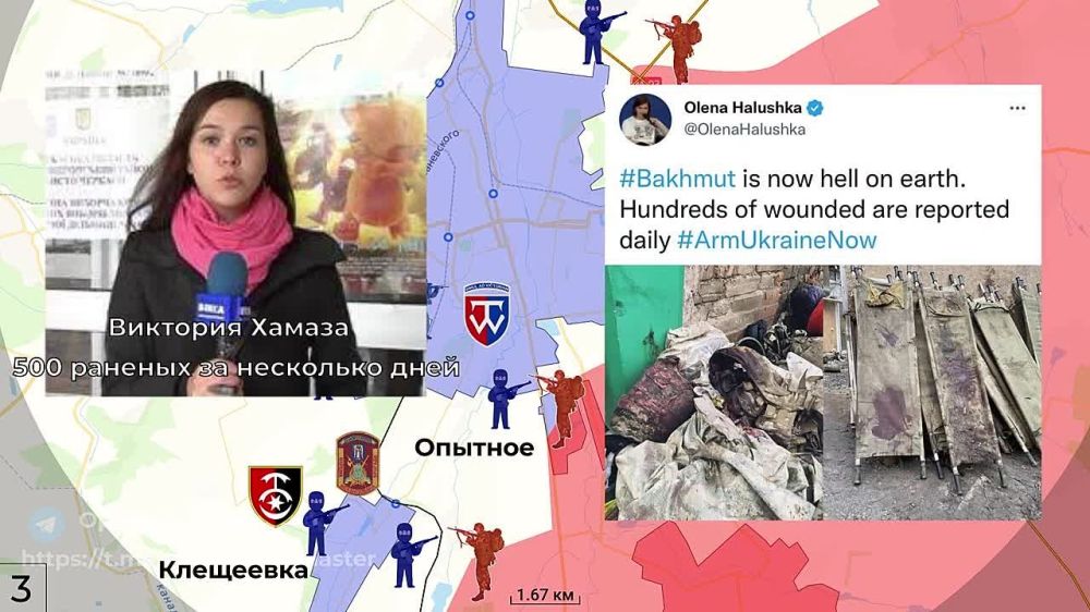 ������� ������ �� �������