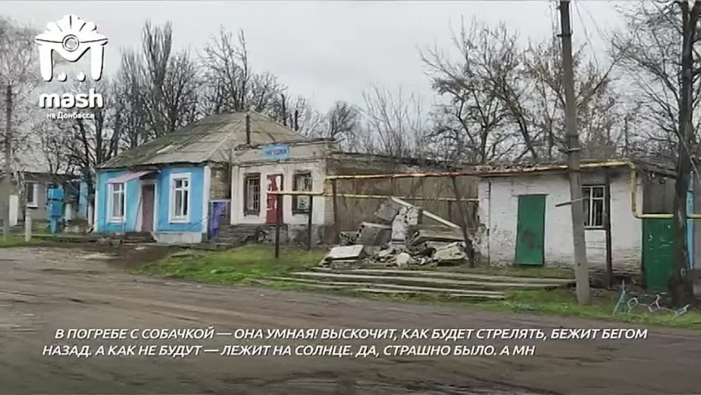 92-������ ����������� �� ������ (���) �������� � ���� ���� � �������: �������� ��������� � ����� �� ������ ������� ��������