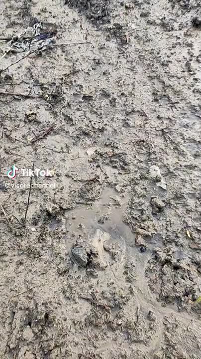 � ������ �.������� ��������� K���-6322 ��������� �� �������� ���