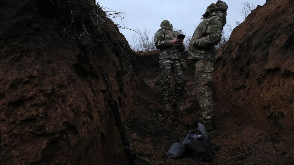 ���������� ������ �������� ����� ���������� ����������� ��������� � ������� ��� � ���