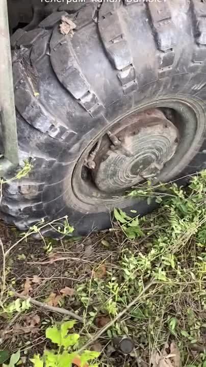 ������ ������������ �� ����������� �����������