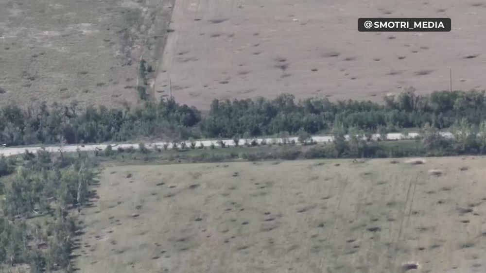 ������ 80-�� �������������� ����������� ������� �� ����������� �����������