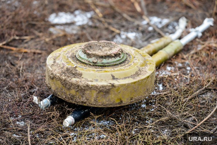 ���������� ������ ���������� ������������� ��� �� ������ ����