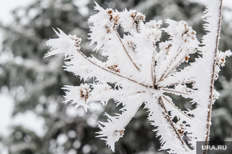 ������ ���������: ������ � �����-��������� ������� ������ ��-�� ����������� ����������