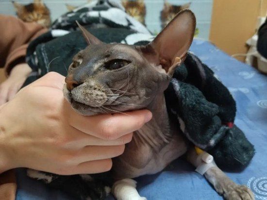 ��������� ������ ����������� ���� ����� � ������ �� ��� ��������