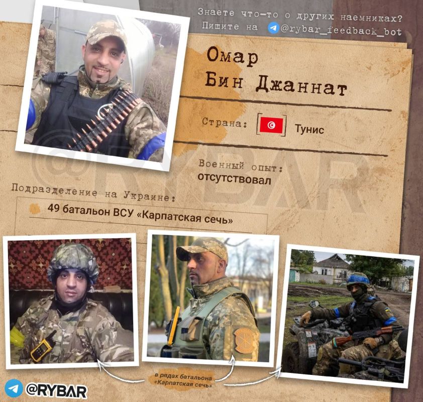 ����� �����: ���� ��� ������� � ��������� ������� ����������� ����