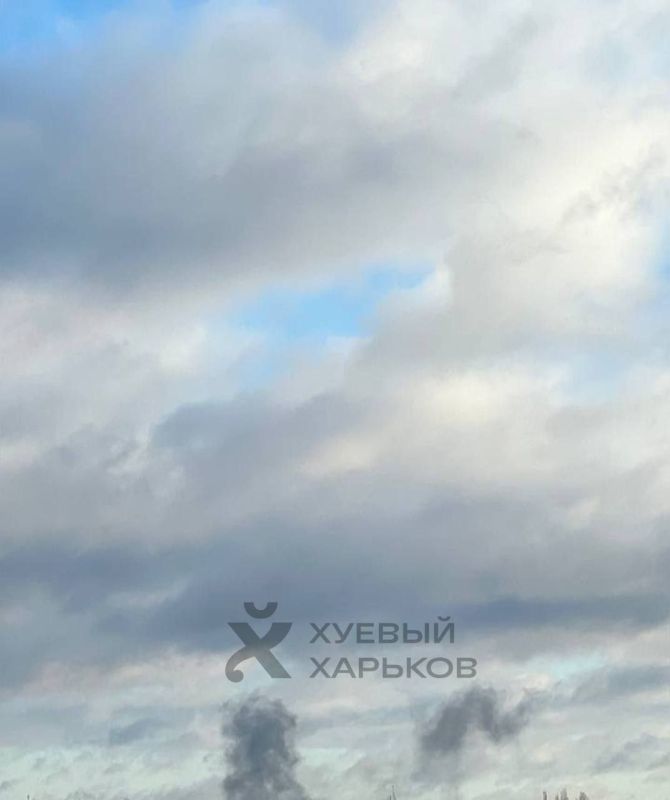 ����� �����: � �������� ��������� �������� ��������