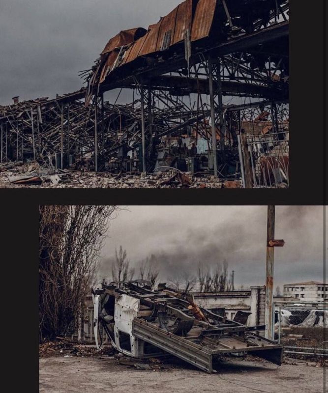 �������. � ������ �������� "�����������"