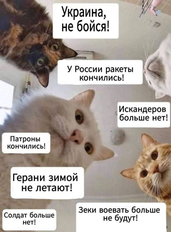 �� ������� �������� ������� ������������