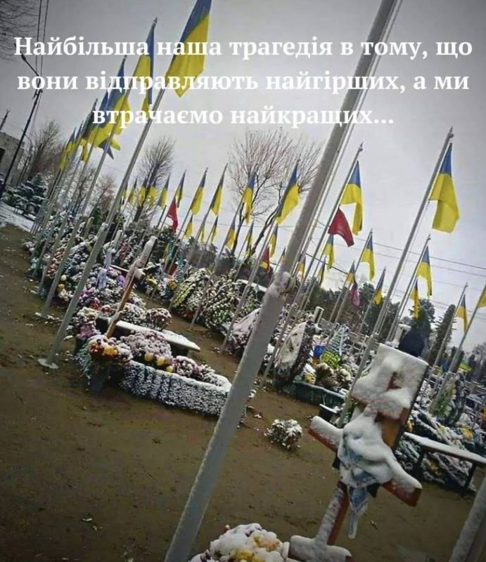 �������� �������� ��������