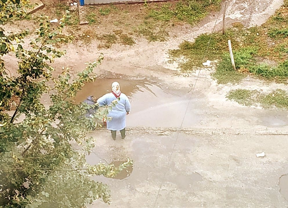 ������� ��������: ���� �������� ���� �� ���. ������ ���������� (����������� ���.)