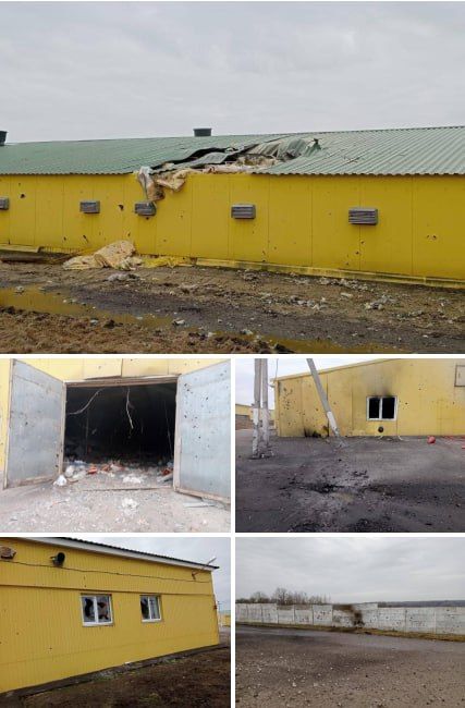 ����� ������� ������������ �������